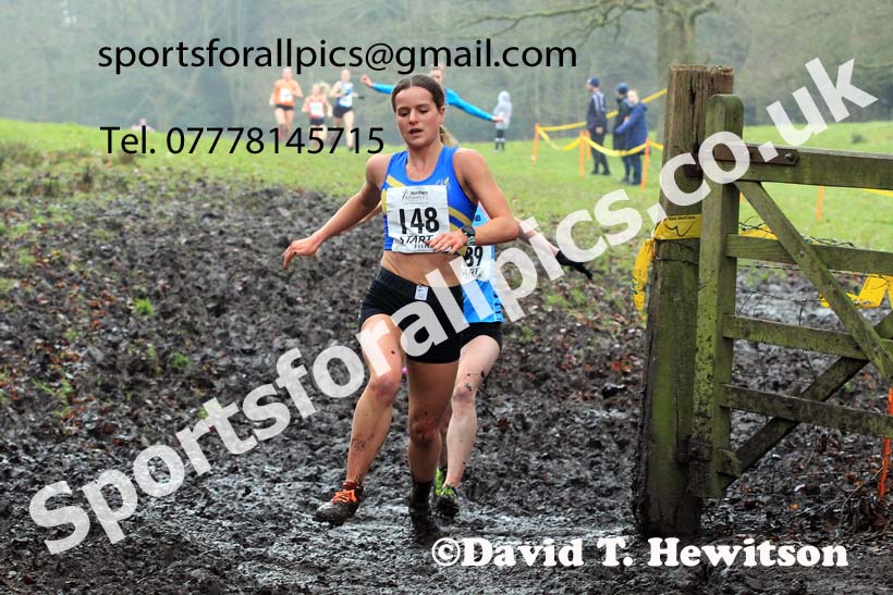Senior Womens 2023 Northern Cross Country Champs., Witton Park, Blackburn. Photo: David T. Hewitson/Sports for All Pics